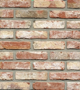 Afbeelding 1