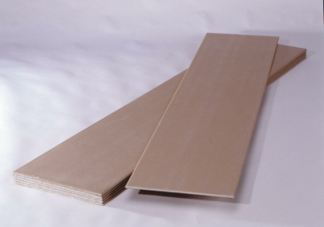 Hoofdafbeelding (jpg)