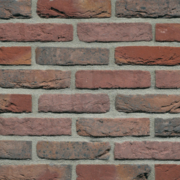 Afbeelding 1